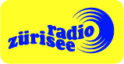 radio-zuerisee-buchhaltungsprogramme